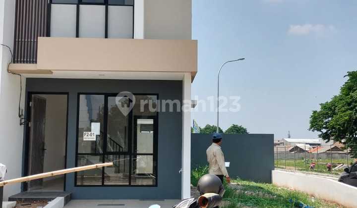 Royal Palm Blassom 2