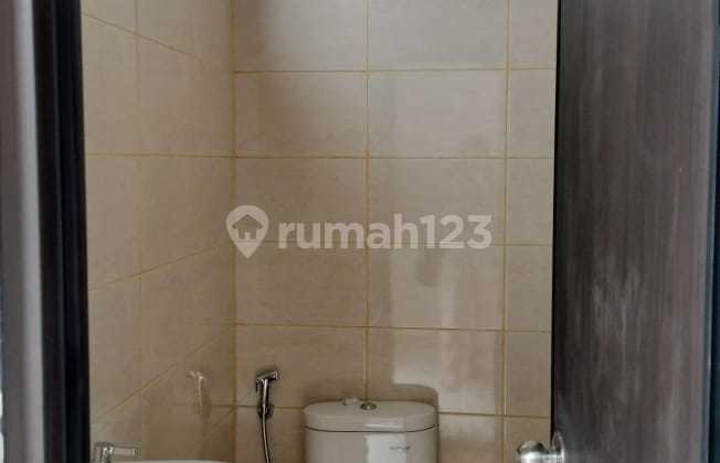 Royal Palm Blassom  2