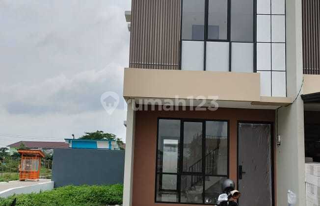 Royal Palm Blassom Royal Palm Blassom