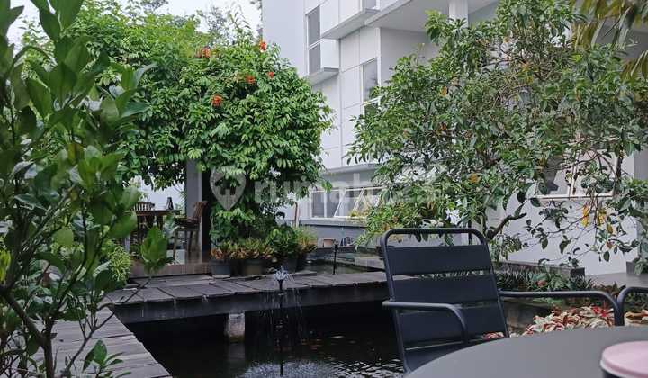 Luxury House Bsd Serpong Land Area 644m Building Area 800m