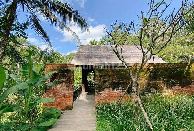 One Bedroom Villatel On The Edge Of Ubud River Valley 2