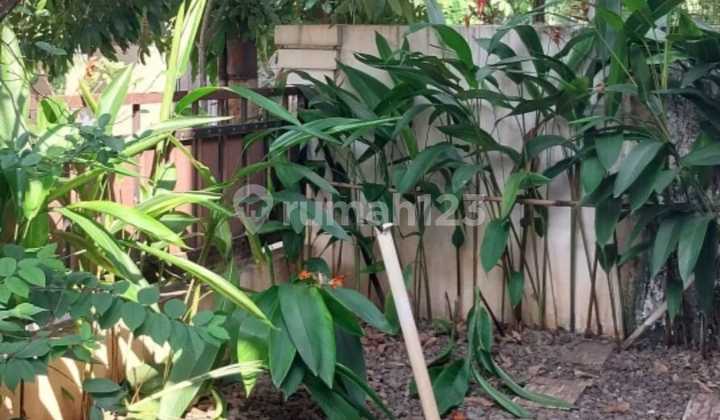 Rumah Bagus SHM Mediterania Regency Cikunir, Bekasi 2