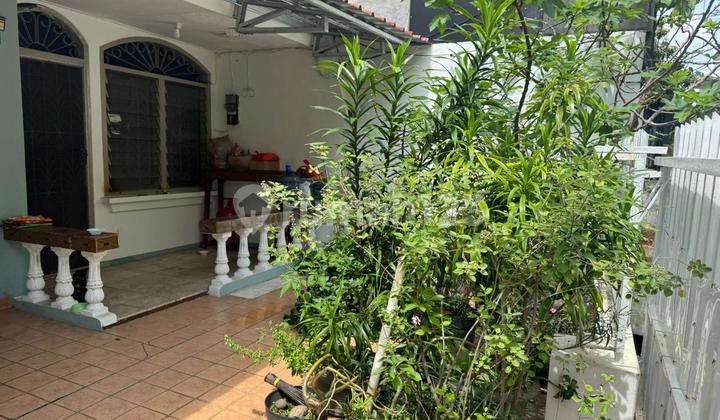 Murah! Rumah di Kelapa Cengkir Butuh Renovasi . Cocok Utk di Bangun Ulang