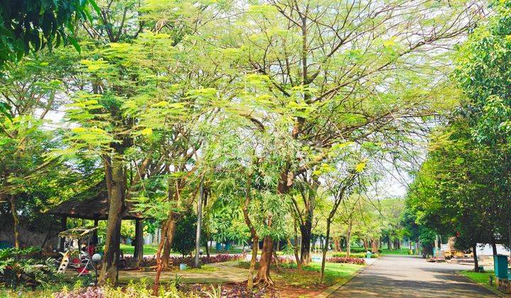 Rumah Siap Huni Nyaman Depan Taman di Avani Bsd  2