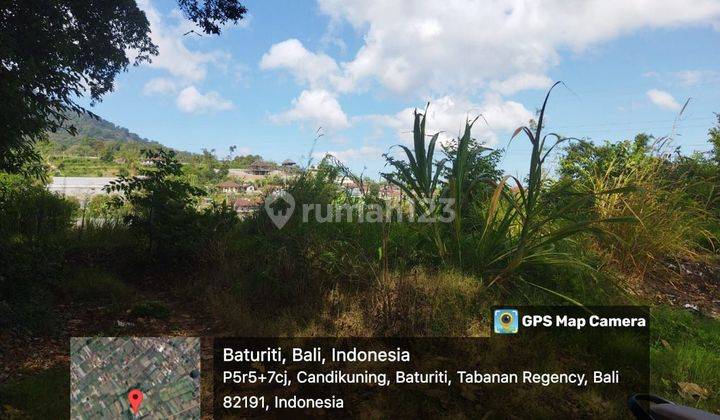 PASTI CLOSING DI JUAL TANAH LOKASI KEMBANG MERTA BEDUGUL CANDI KUNING TABANAN
 1