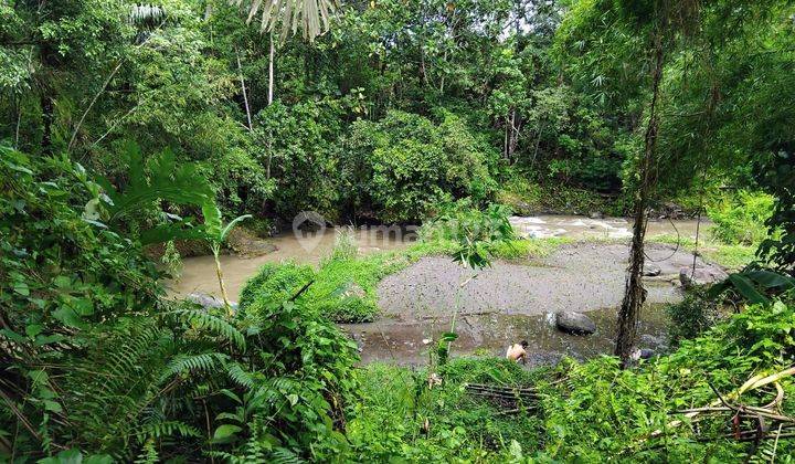 PASTI CLOSING DI JUAL TANAH LOSS SUNGAI LOKASI MAMBAL ABIANSEMAL BADUNG
 2