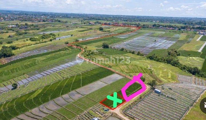 TOP DEAL DI JUAL TANAH LOKASI KELATING KERAMBITAN TABANAN 
 2