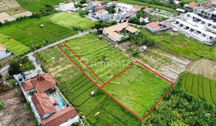 TOP DEAL DI JUAL TANAH VIEW SAWAH LOKASI ABASAN TIBUBENENG CANGGU KUTA UTARA BADUNG 2