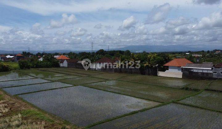 TOP DEAL DI JUAL TANAH PINGGIR JALAN LOKASI BELALANG KEDUNGU KEDIRI TABANAN 
 2