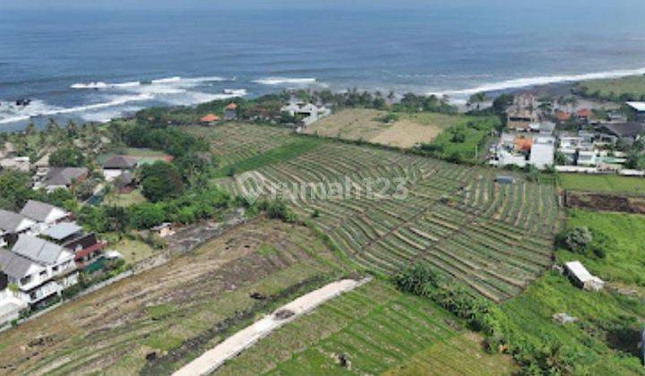 TOP DEAL ON LAND FOR SALE LOCATION CEMAGI MENGWI BADUNG 
 2