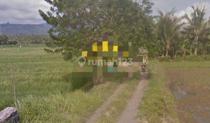 TOP DEAL FOR SALE LAND LOSS BEACH SEA VIEW LOCATION PANGYANGAN PEUKUTAN JEMBRANA 
 1