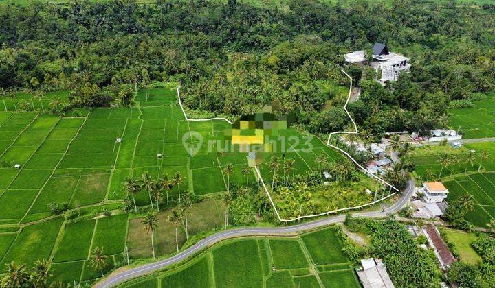 TOP DEAL DI JUAL TANAH LOKASI PUHU PAYANGAN UBUD GIANYAR 1