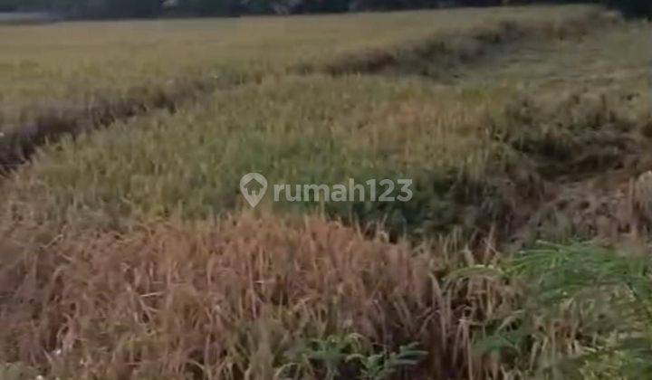 TOP DEAL ON LAND FOR SALE LOCATION NYITDAH KEDIRI TABANAN 2