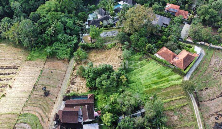 TOP DEAL DI JUAL TANAH LOKASI DANAU NYANYI BERABAN KEDIRI TABANAN  2