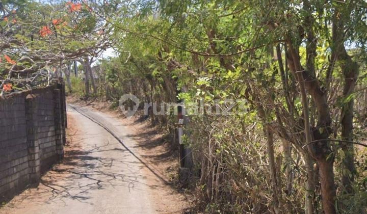 TOP DEAL FOR SALE LAND LOCATION KARANG KEMBER KUTUH KUTA SELATAN BADUNG TOP DEAL FOR SALE LAND LOCATION KARANG KEMBER KUTUH KUTA SELATAN BADUNG