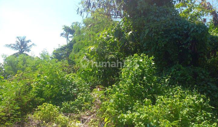 TOP DEAL DI JUAL TANAH VIEW SAWAH LOKASI NYANYI BERABAN KEDIRI TABANAN  2