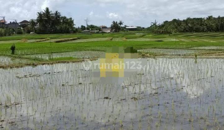 TOP DEAL FOR SALE LAND SIDE OF ROAD LOCATION LAND LOT KEDIRI TABANAN   2