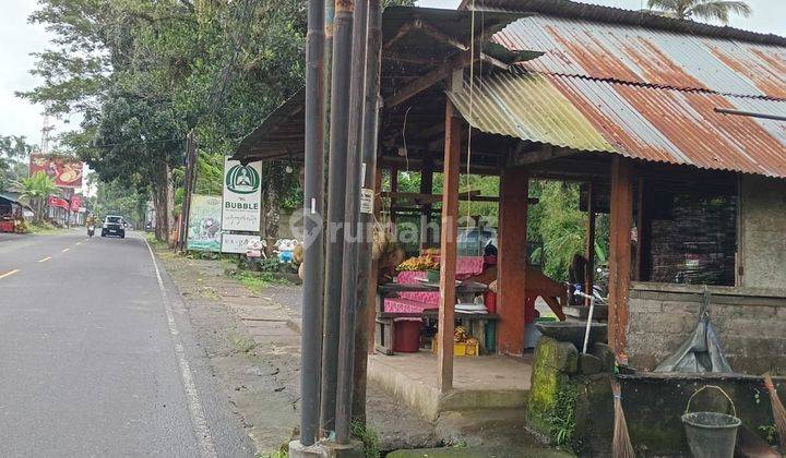 TOP DEAL DI JUAL TANAH PINGGIR JALAN LOKASI LUWUS BATURITI TABANAN 1