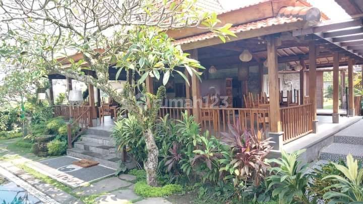 TOP DEAL FOR SALE VILLA IN PELIATAN UBUD GIANYAR LOCATION  2