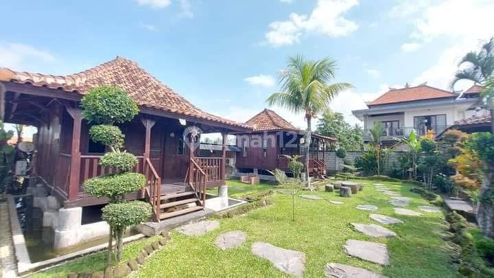 TOP DEAL FOR SALE VILLA IN PELIATAN UBUD GIANYAR LOCATION  2