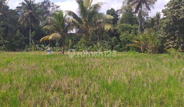 TOP DEAL DI JUAL TANAH PINGGIR JALAN LOKASI PEJENG UBUD GIANYAR  2