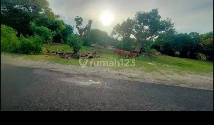 TOP DEAL FOR SALE LAND LOCATION UNGASAN KUTA SELATAN BADUNG 2