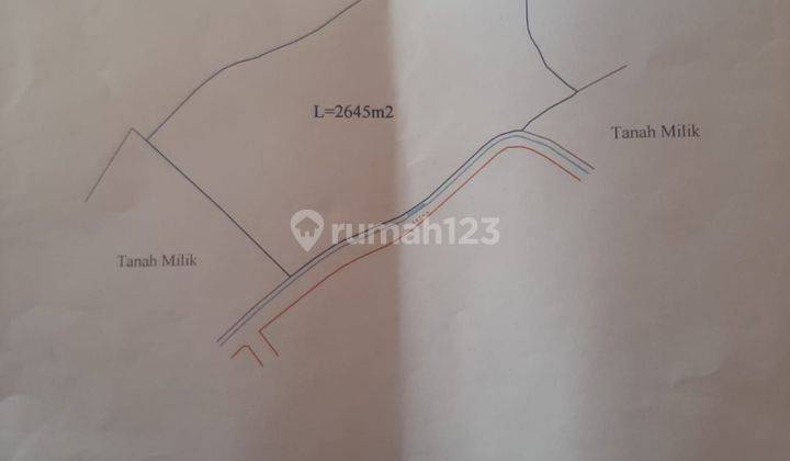 TOP DEAL FOR LAND FOR SALE IN MUNGGU BERWI BADUNG LOCATION  1