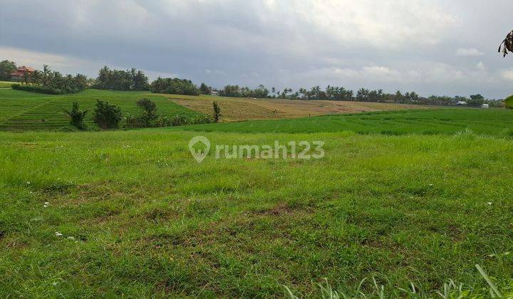 PASTI DEAL DI JUAL TANAH VIEW LAUT & SAWAH LOKASI TEGAL MENGKEB SELEMADEG TABANAN 
 2