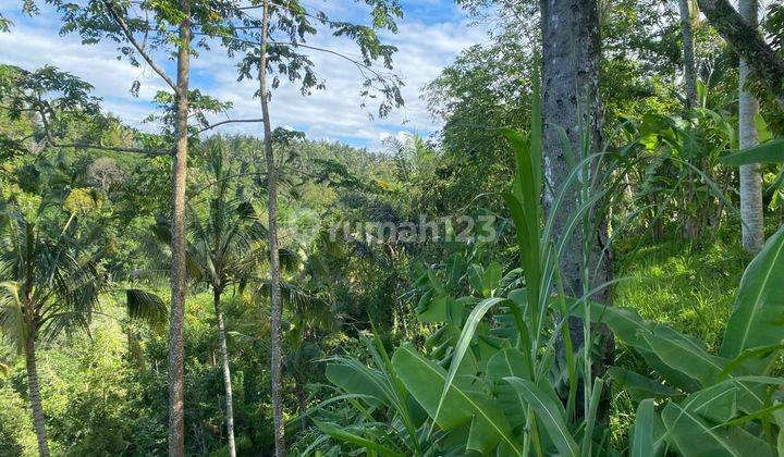 SURE DEAL FOR SALE LAND VIEW SUNGAI LOCATION UBUD GIANYAR FRUIT DISPLAY 2