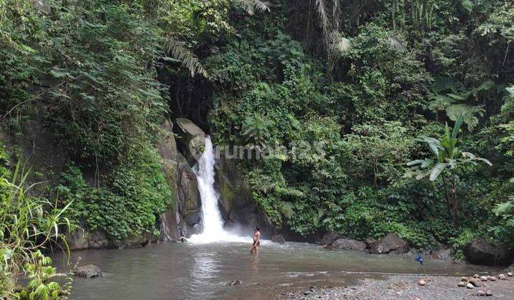 DEFINITELY A DEAL FOR LAND FOR SALE AT THE UBUD GIANYAR FRUIT SHOW LOCATION 1