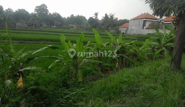 PASTI DEAL DI JUAL TANAH PINGGIR JALAN LOKASI BY PASS MEDAHAN BUAHBATUH GIANYAR 2