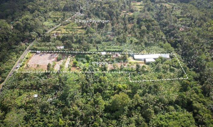 PASTI DEAL DI JUAL TANAH PINGGIR JALAN LOKASI PENYABANGAN PAYANGAN UBUD GIANYAR 1