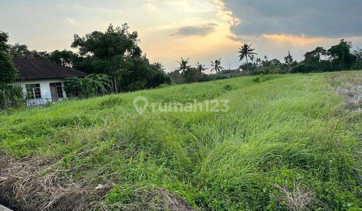 PASTI DEAL DI JUAL TANAH LOKASI NYANYI BERABAN KEDIRI TABANAN 
 1