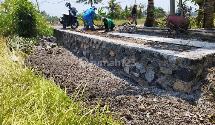 PASTI DEAL DI JUAL TANAH LOKASI NYANYI BERABAN KEDIRI TABANAN 
 2