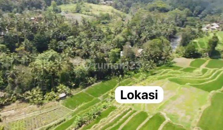 PASTI DEAL DI JUAL TANAH LOSS SUNGAI LOKASI KEDISAN TEGALLALANG UBUD GIANYAR 2