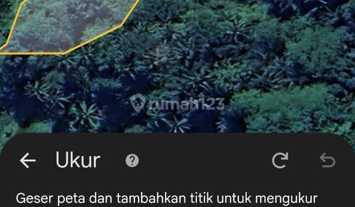 PASTI DEAL DI JUAL TANAH LOSS SUNGAI LOKASI KEDISAN TEGALLALANG UBUD GIANYAR 1