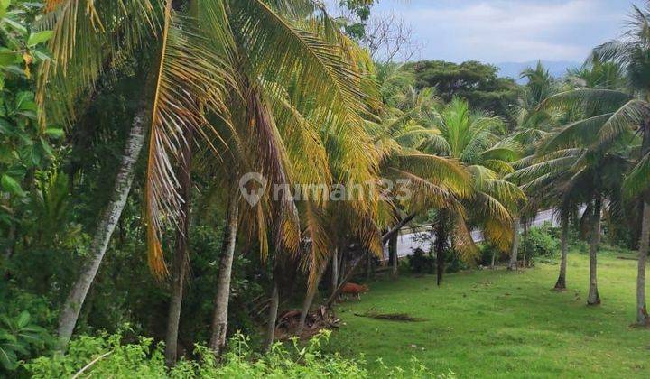 SURE DEAL FOR SALE LAND BESIDE THE ROAD LOCATION BESIDE SELEMADEG TABANAN 1