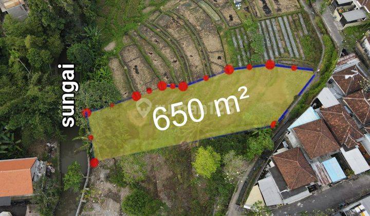 DEFINITELY DEAL FOR SALE LAND WITH RICE VIEW LOCATION SELINGSING CEPAKA TABANAN  1