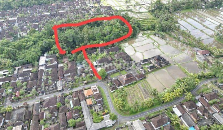 PASTI DEAL DI JUAL TANAH TEGALLALANG UBUD GIANYAR 2