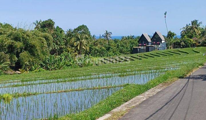 PASTI DEAL DI JUAL TANAH LOKASI BALIAN  LALANGLINGGAH TABANAN 1