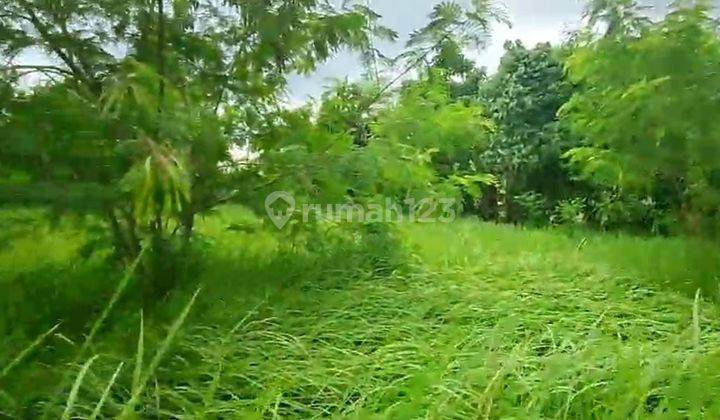 DEFINITELY DEAL ON LAND FOR SALE IN SILUNGAN LODTUNDUH UBUD GIANYAR LOCATION 1