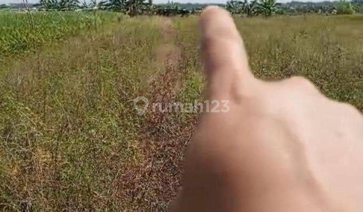 SURE DEAL ON LAND FOR SALE LOCATION TIBU BIU PASUT KERAMBITAN TABANAN
 1