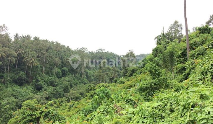 SURE DEAL FOR SALE LAND LOSS PETANU RIVER VIEW SAH & FOREST LOCATION UBUD GIANYAR