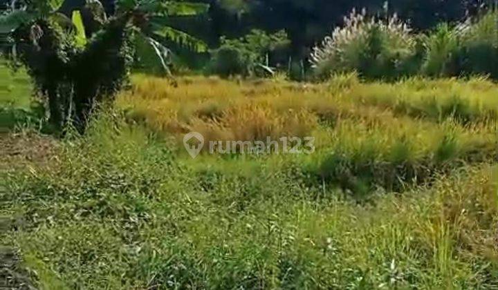 PASTI DEAL DI JUAL TANAH LOSS SUNGAI LOKASI BLUMBUNGAN DARMASABA ABIANSEMAL BADUNG 2