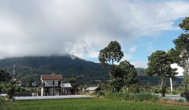 PASTI DEAL DI JUAL TANAH LOKASI PANCASARI SUKASADA BULELENG  2