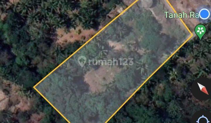 PASTI DEAL DI JUAL TANAH LOSS SUNGAI VIEW SAWAH LOKASI KERAMBITAN TABANAN  1