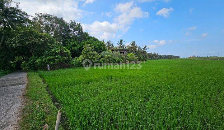 PASTI DEAL DI JUAL TANAH LOSS SUNGAI VIEW SAWAH LOKASI KERAMBITAN TABANAN  2