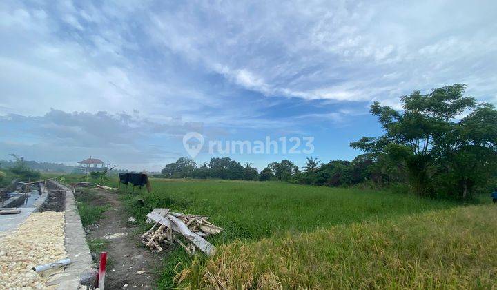 PASTI DEAL DI JUAL TANAH VIEW LAUT & SAWAH LOKASI KEDUNGU KEDIRI TABANAN 
 1