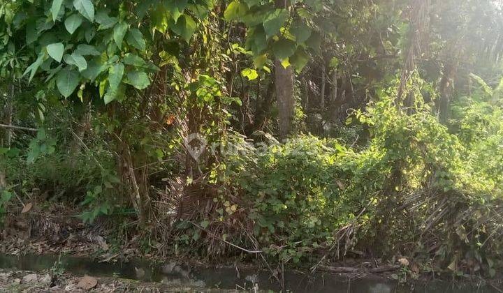 SURE DEAL IN LOSS RIVER LAND FOR SALE LOCATION PERING BLAHBATUH GIANYAR  1