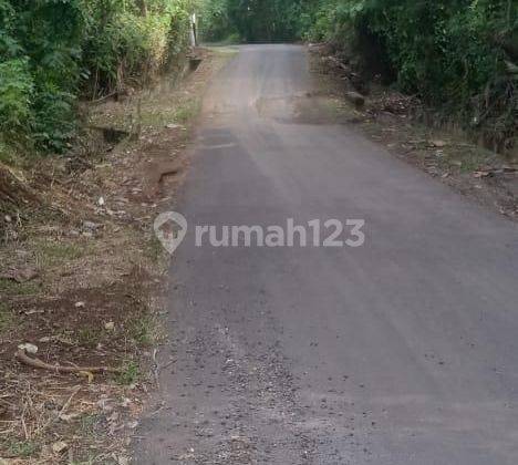 SURE DEAL IN LOSS RIVER LAND FOR SALE LOCATION PERING BLAHBATUH GIANYAR  2